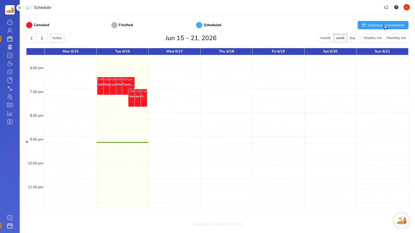 Professional schedule