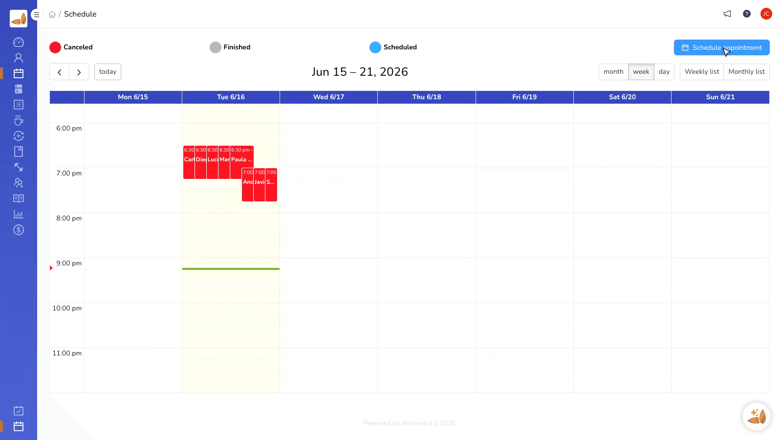Professional schedule